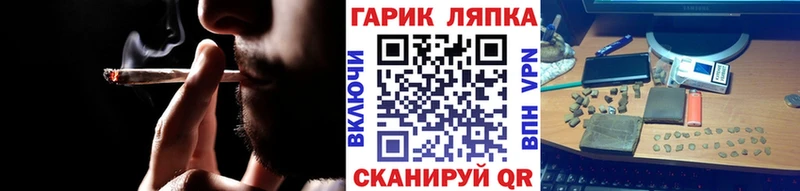 где купить наркотик  Краснообск  ГАШИШ индика сатива 